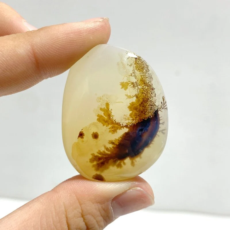 12 Pieces Natural Rare Scenic Dendritic Agate Cabochon - Image 3