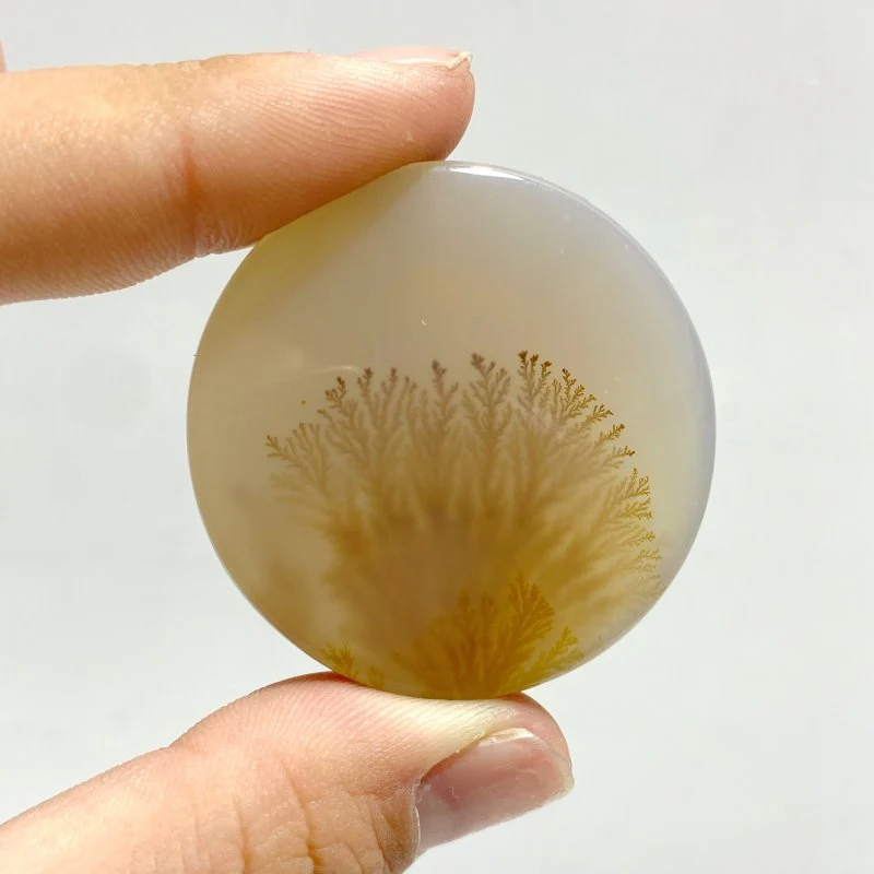 12 Pieces Natural Rare Scenic Dendritic Agate Cabochon - Image 7