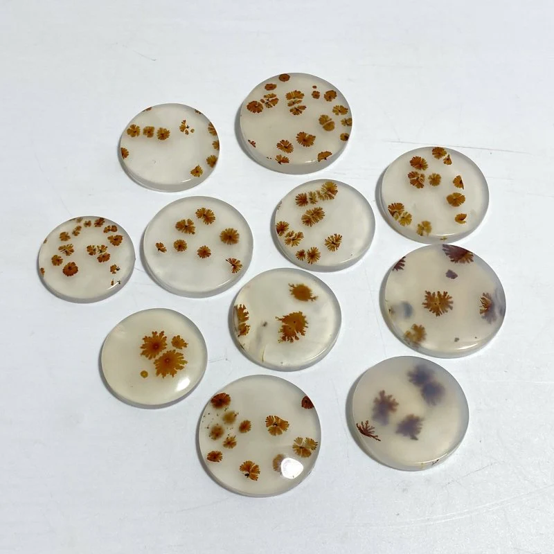 11 Pieces Natural Scenic Dendritic Agate Cabochon