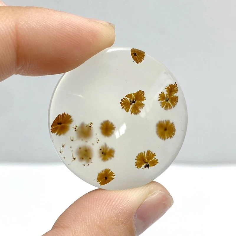 11 Pieces Natural Scenic Dendritic Agate Cabochon - Image 2