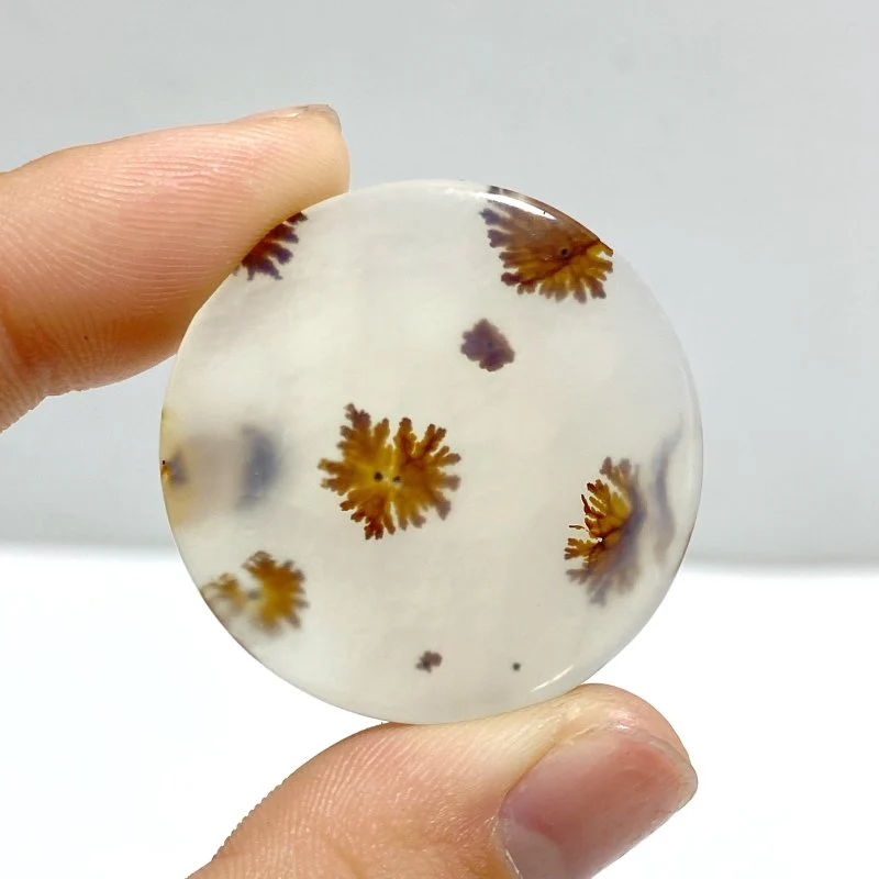 11 Pieces Natural Scenic Dendritic Agate Cabochon - Image 4
