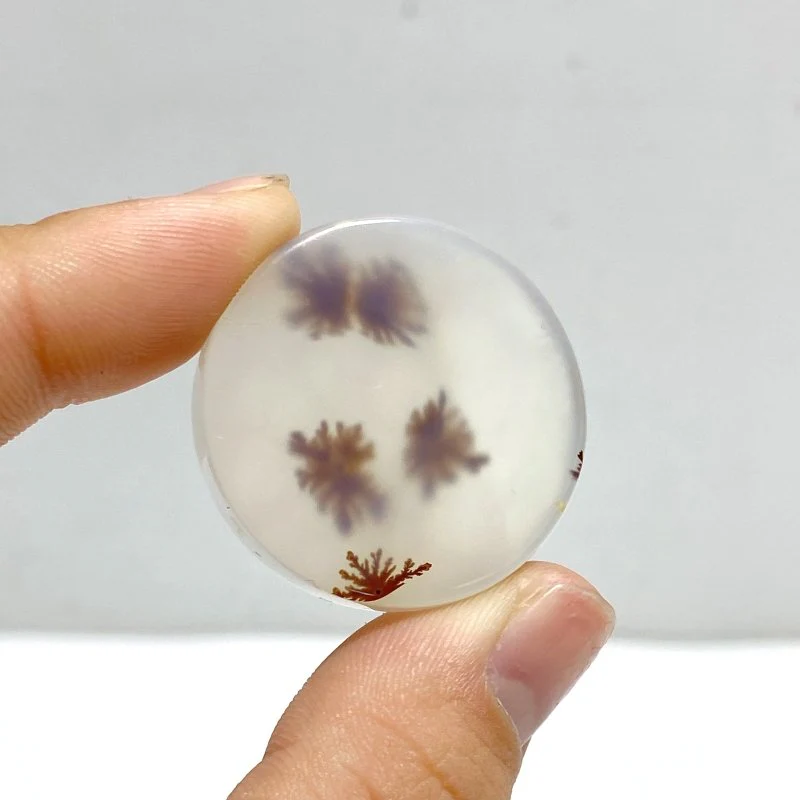 11 Pieces Natural Scenic Dendritic Agate Cabochon - Image 5