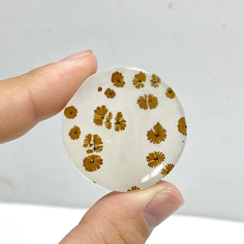 11 Pieces Natural Scenic Dendritic Agate Cabochon - Image 7
