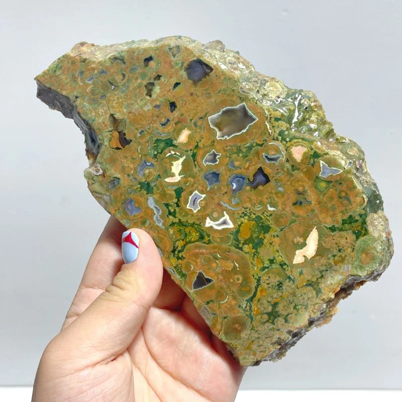 11 Pieces Peacock Eye Rain Forest Jasper Slab - Image 2