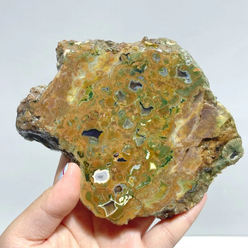 11 Pieces Peacock Eye Rain Forest Jasper Slab - Image 3