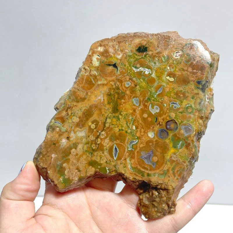 11 Pieces Peacock Eye Rain Forest Jasper Slab - Image 4