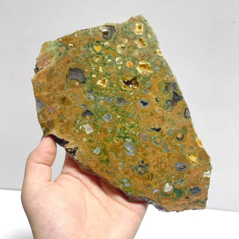 11 Pieces Peacock Eye Rain Forest Jasper Slab - Image 6