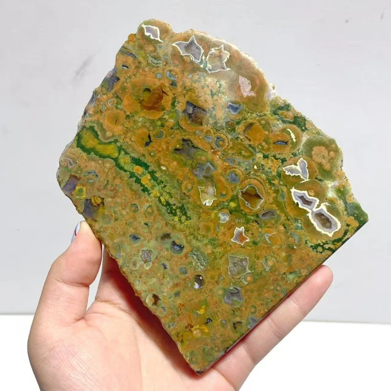 11 Pieces Peacock Eye Rain Forest Jasper Slab - Image 7