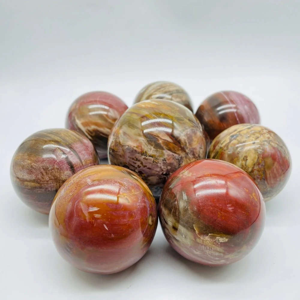 Petrified Wood Sphere Ball Wholesale - Image 3