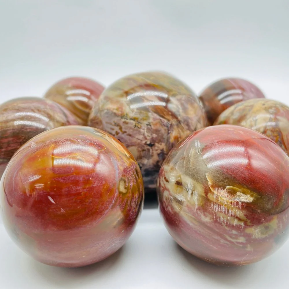 Petrified Wood Sphere Ball Wholesale - Image 4