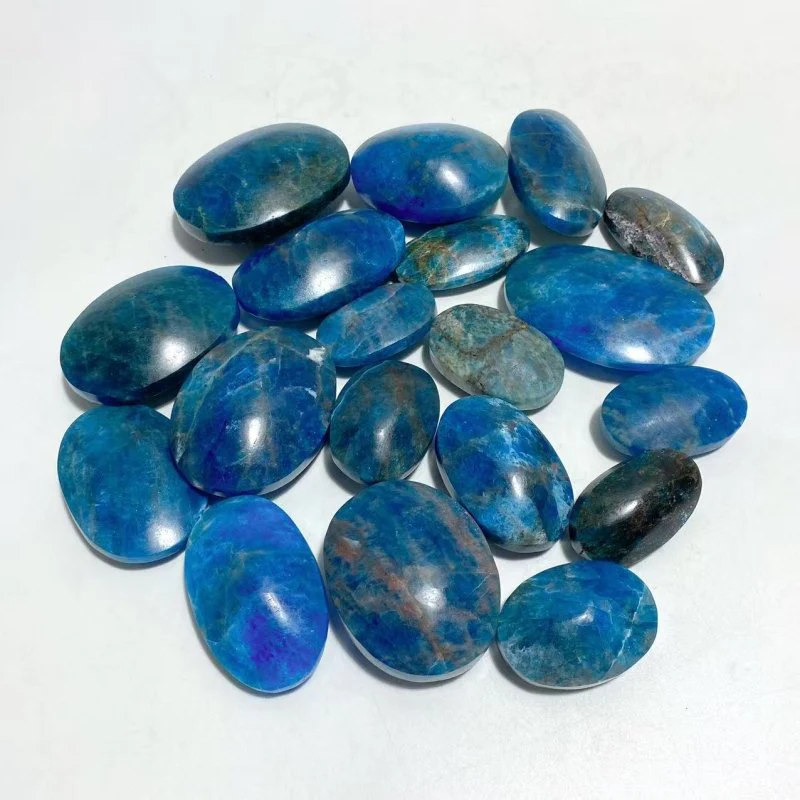Apatite Palm Wholesale