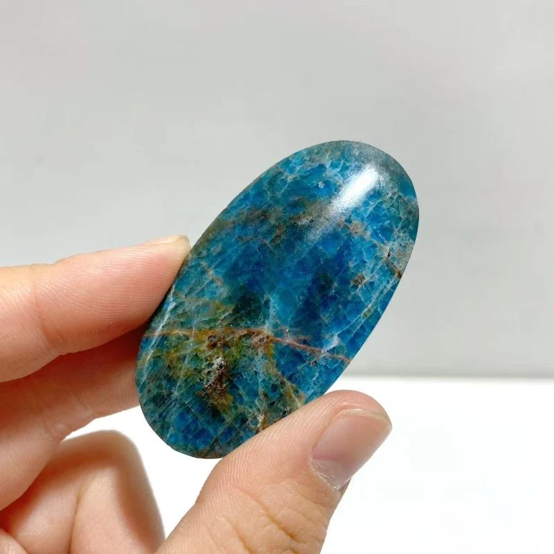 Apatite Palm Wholesale - Image 5