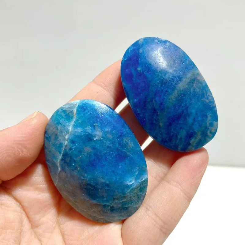 Apatite Palm Wholesale - Image 6
