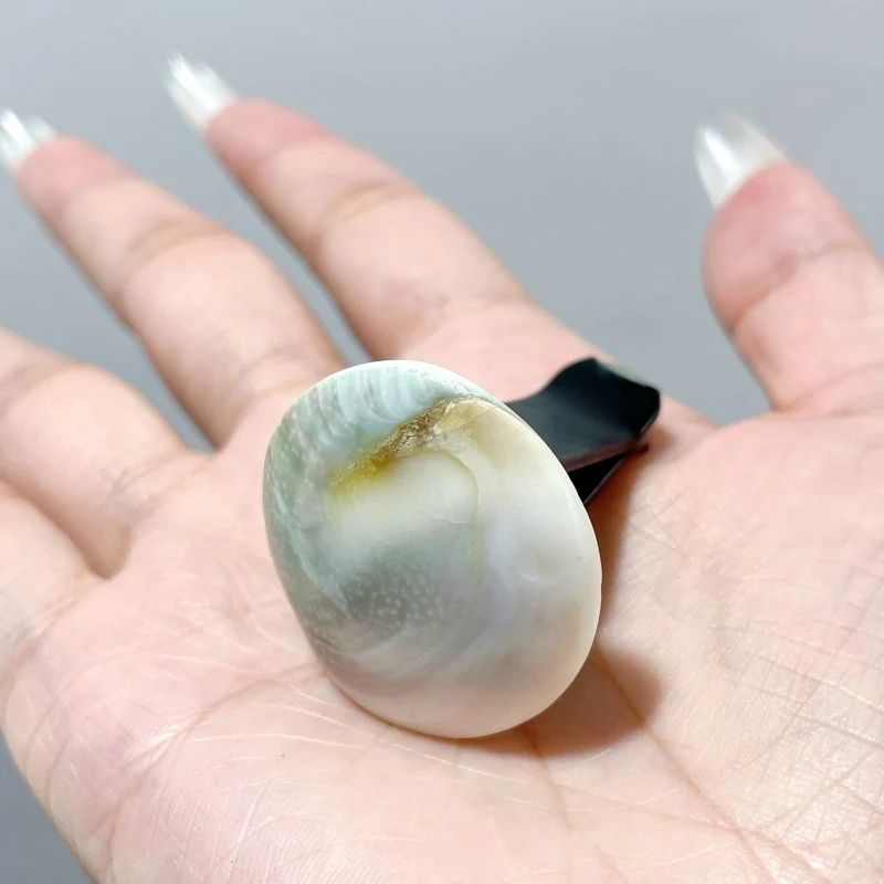 2 Shapes Polished Shell Fossil Car Air Vent Clips Wholesale Car Accessories - Image 5