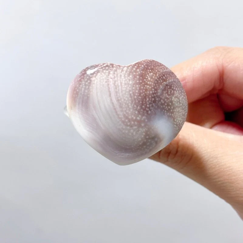 2 Shapes Polished Shell Fossil Car Air Vent Clips Wholesale Car Accessories - Image 6