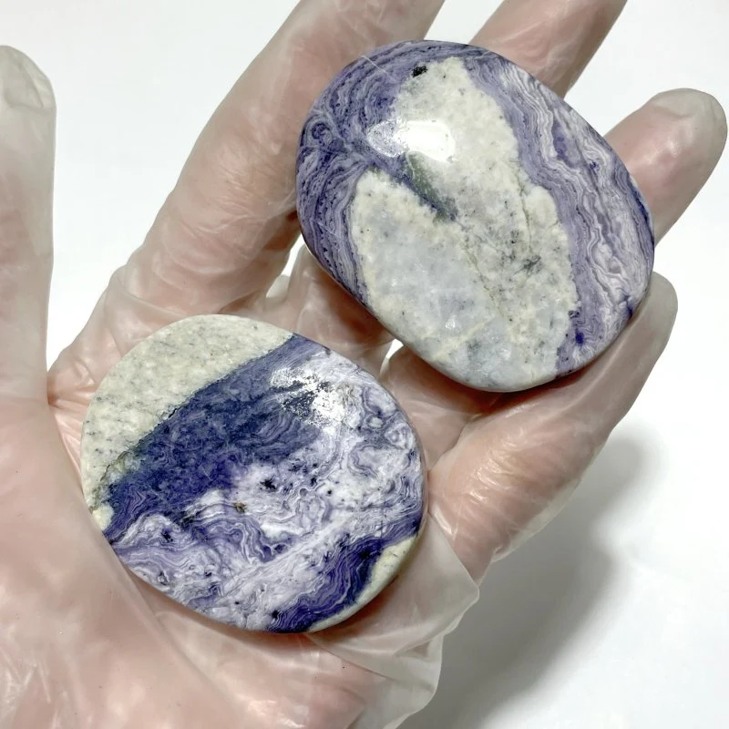 Purple Stripe Jasper Palm Wholesale - Image 6