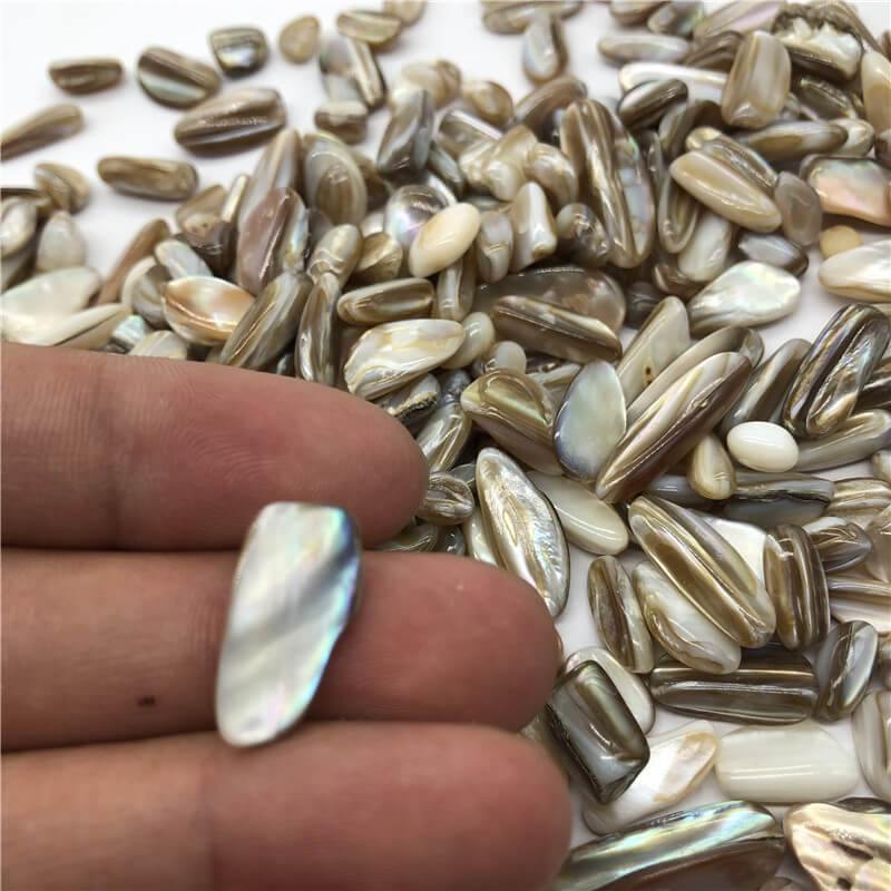 Rainbow Shell Conch Fossil Gravel Stone Wholesale - Image 2