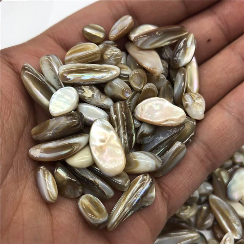 Rainbow Shell Conch Fossil Gravel Stone Wholesale - Image 3