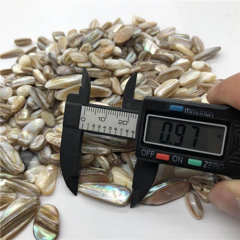 Rainbow Shell Conch Fossil Gravel Stone Wholesale - Image 4