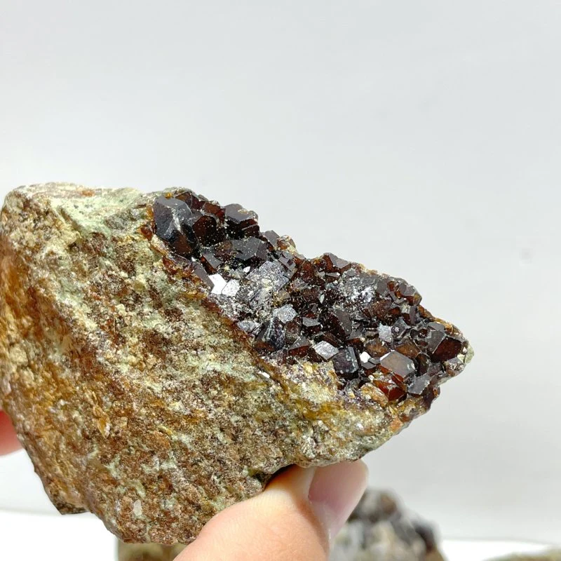 11 Pieces Raw Garnet Specimen For Collection - Image 4