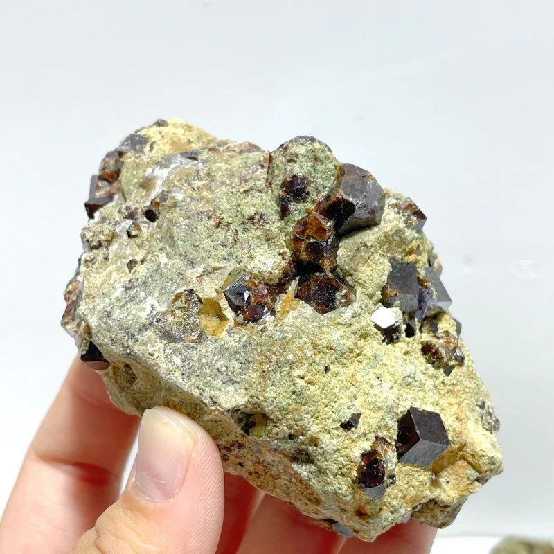 11 Pieces Raw Garnet Specimen For Collection - Image 7