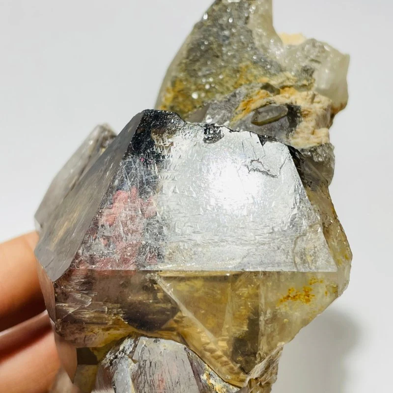 Record Keeper Enhydro Smoky Quartz Backbone Healing Energy Crystal - Image 4
