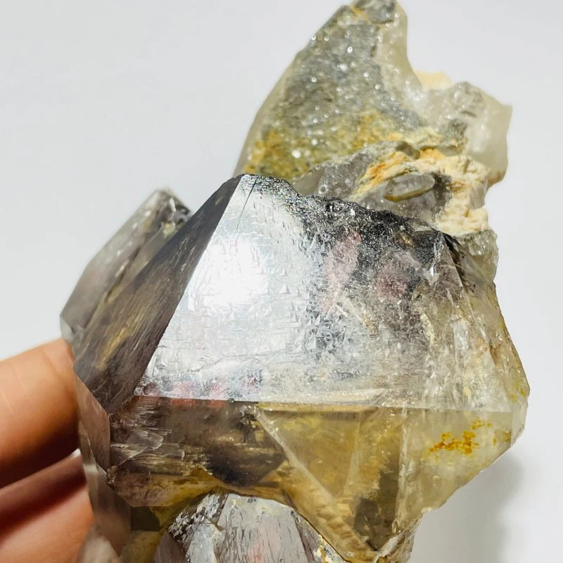 Record Keeper Enhydro Smoky Quartz Backbone Healing Energy Crystal - Image 5
