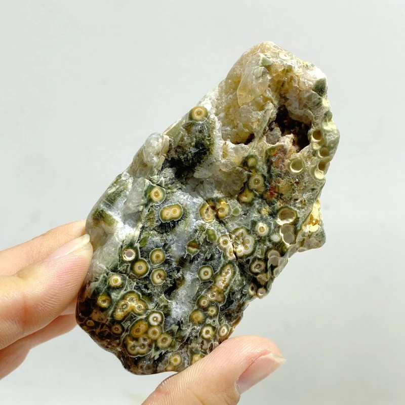 Rough Shape Polished 8th Vein Ocean Jasper Wholesale - Image 4