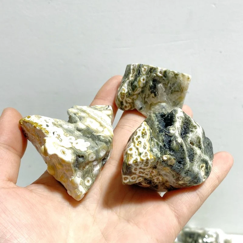 Rough Shape Polished 8th Vein Ocean Jasper Wholesale - Image 7