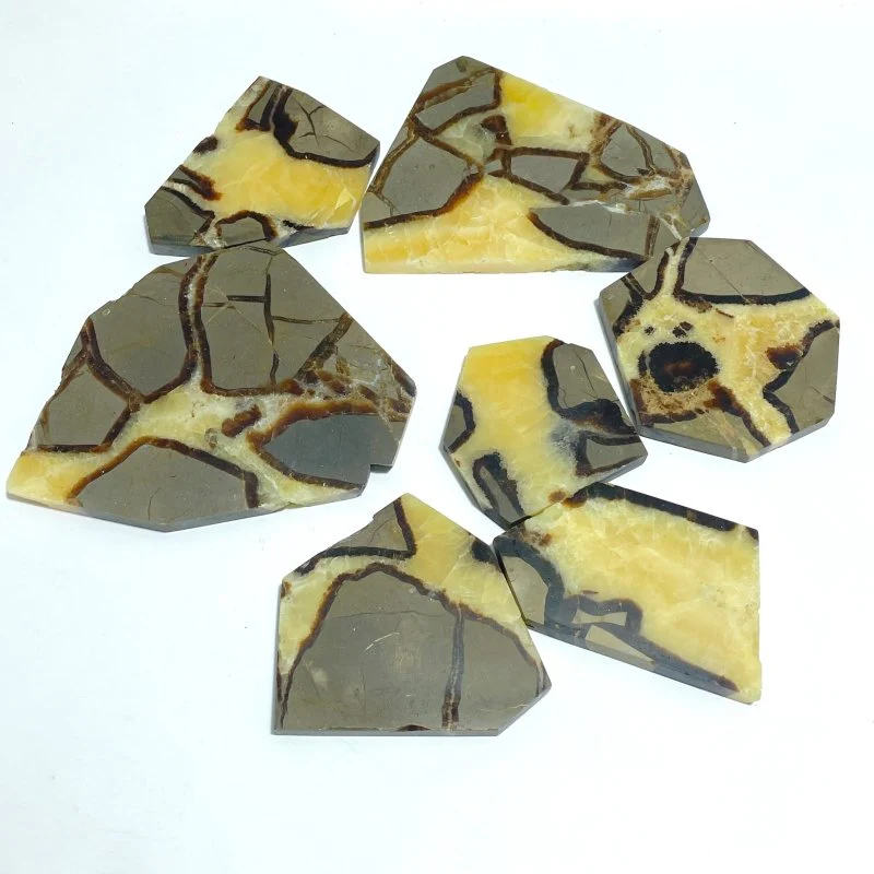 Septarian Slab Wholesale
