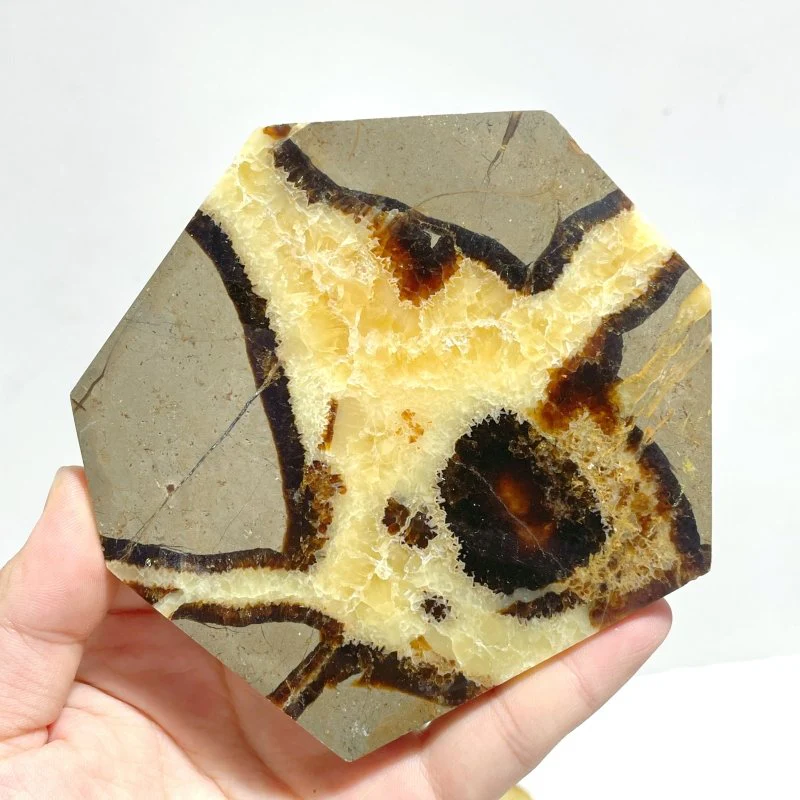 Septarian Slab Wholesale - Image 2
