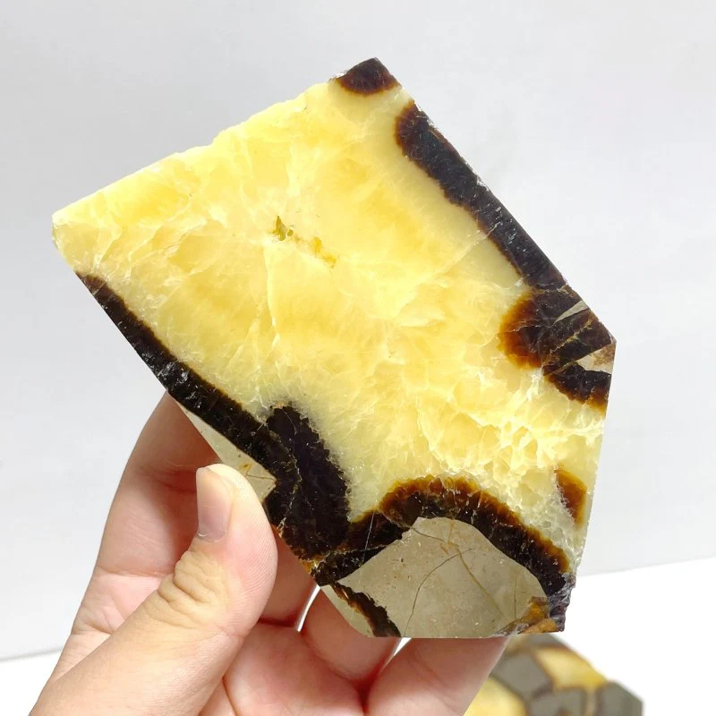 Septarian Slab Wholesale - Image 3