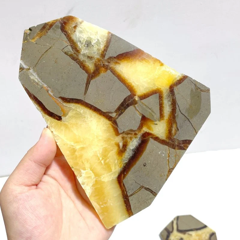 Septarian Slab Wholesale - Image 4