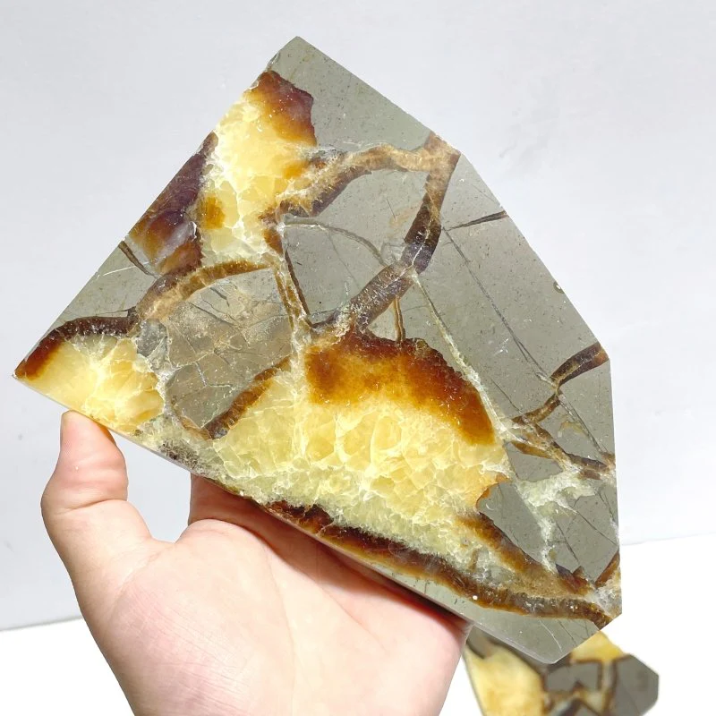 Septarian Slab Wholesale - Image 5