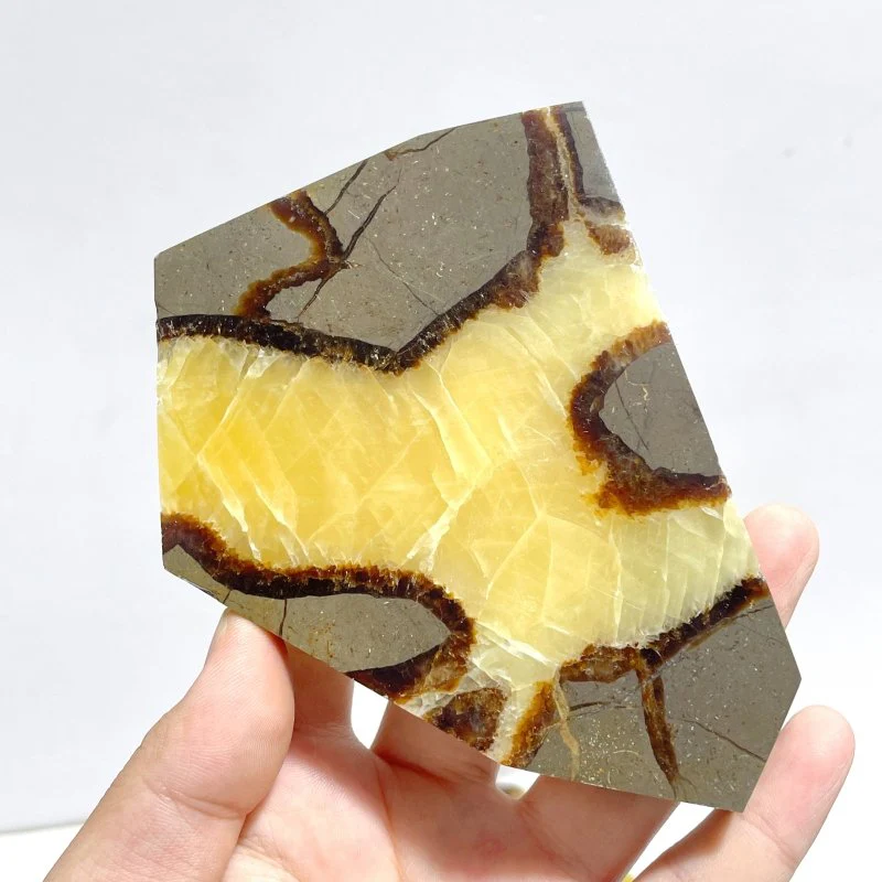 Septarian Slab Wholesale - Image 6