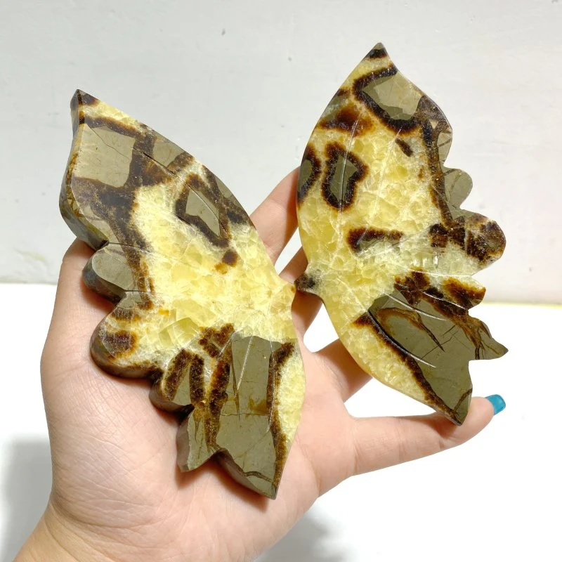 2 Pairs Septarian Butterfly Wing Carving With Stand #3 - Image 4