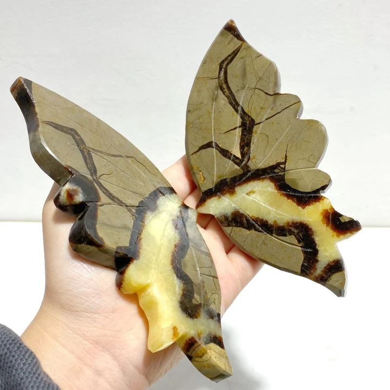 4 Pairs Septarian Butterfly Wing Carving With Stand #5 - Image 6