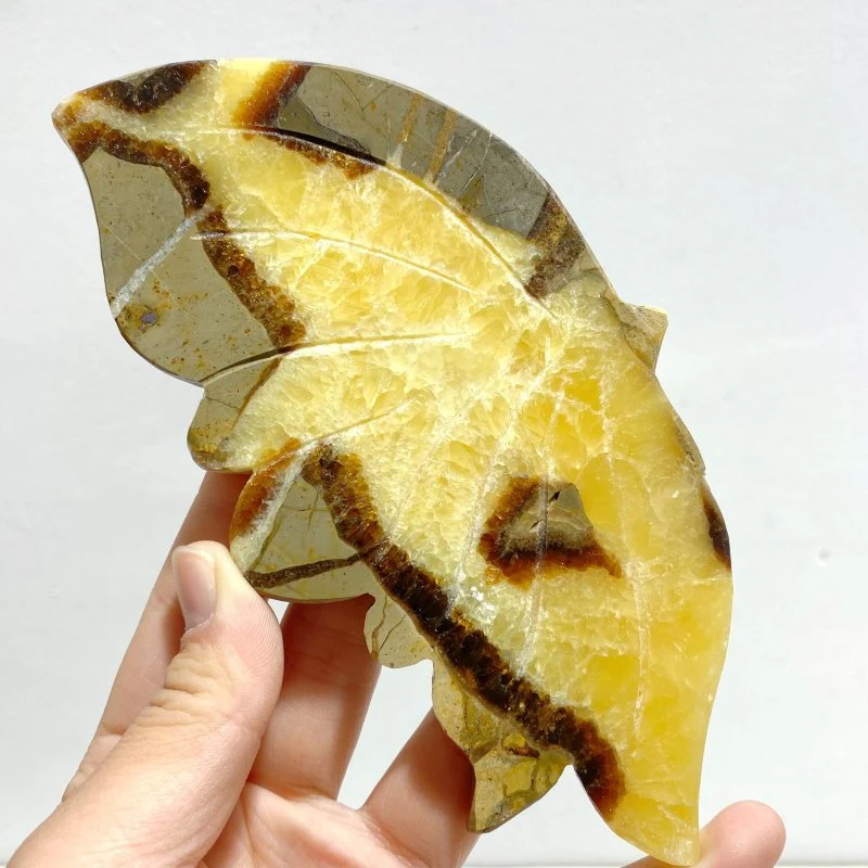 3 Pairs Septarian Butterfly Wing Carving With Stand #6 - Image 3