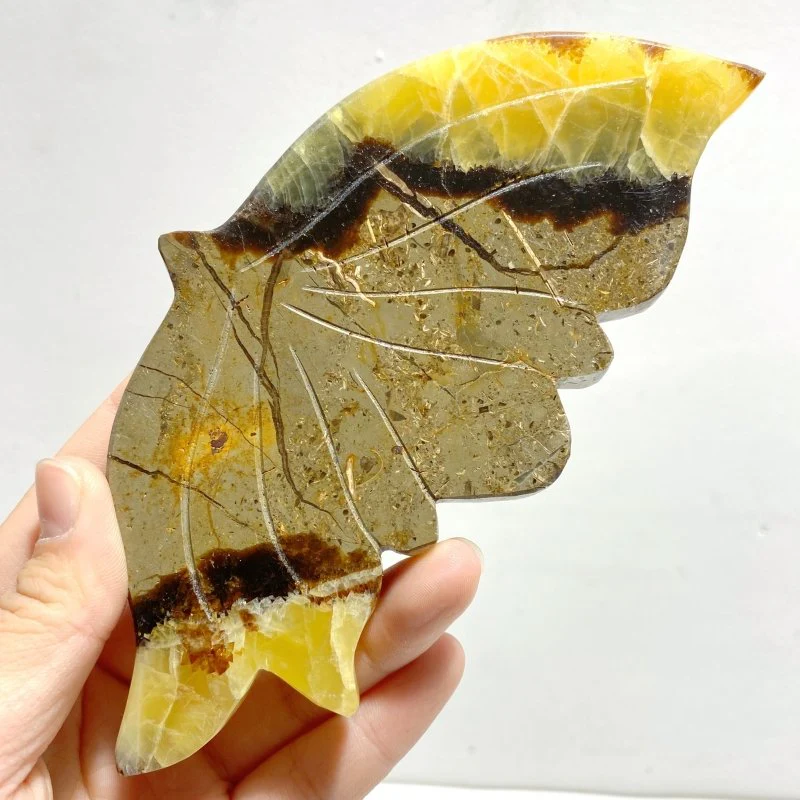 3 Pairs Septarian Butterfly Wing Carving With Stand #6 - Image 4
