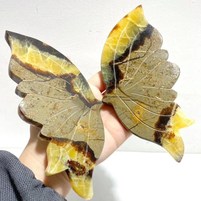 3 Pairs Septarian Butterfly Wing Carving With Stand #6 - Image 6