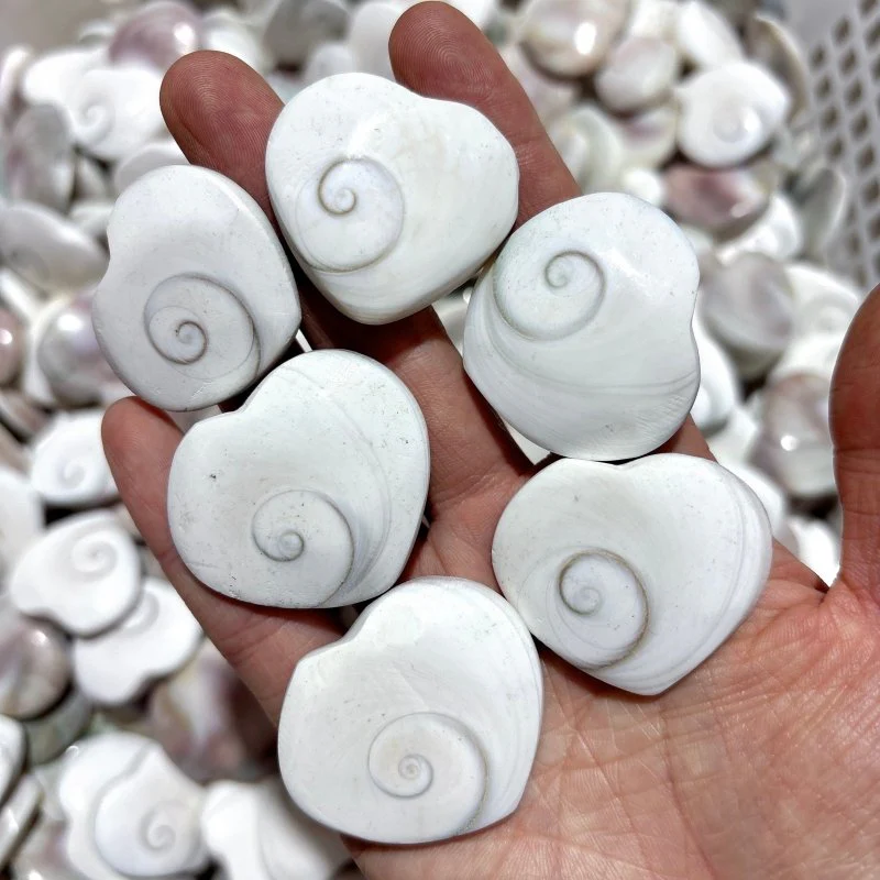 Polished Shell Fossil Heart Wholesale