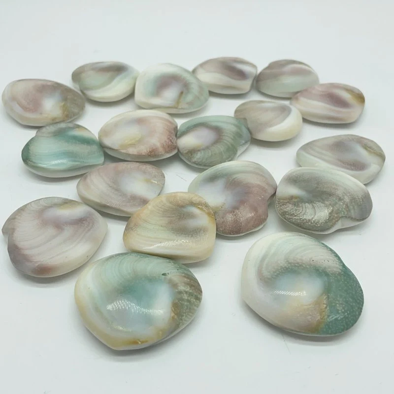 Polished Shell Fossil Heart Wholesale - Image 2