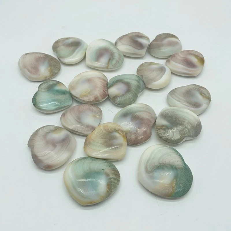 Polished Shell Fossil Heart Wholesale - Image 3