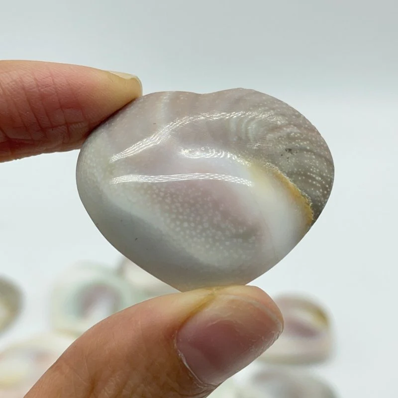 Polished Shell Fossil Heart Wholesale - Image 5