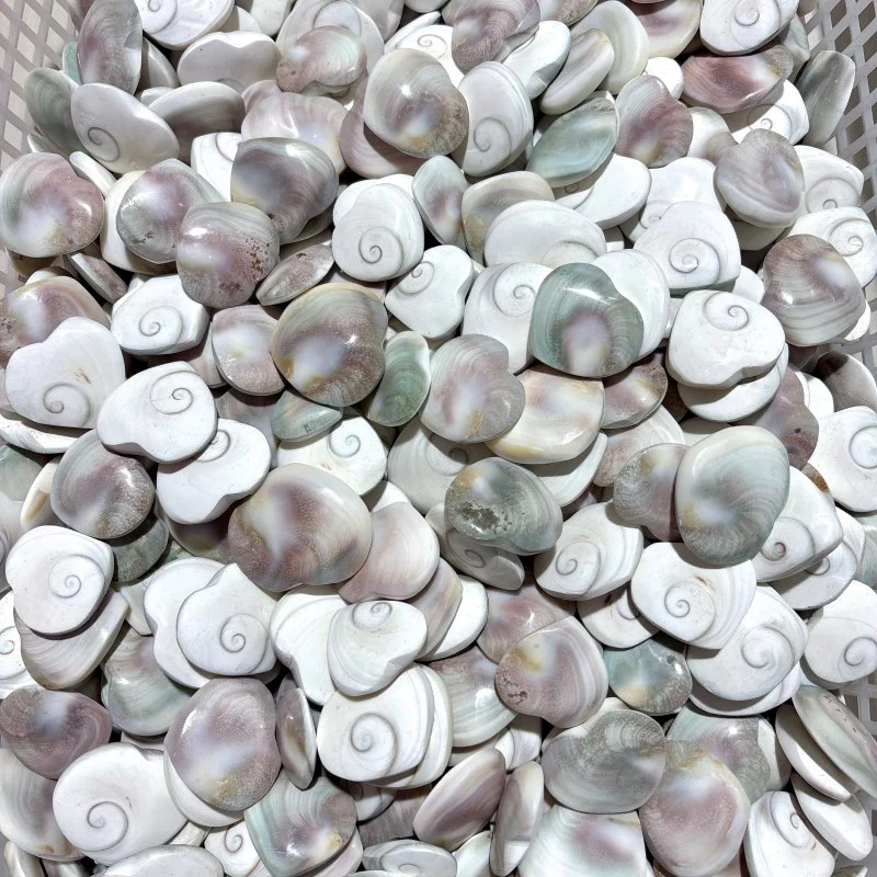 Polished Shell Fossil Heart Wholesale - Image 6