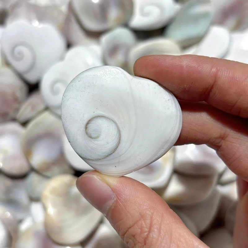 Polished Shell Fossil Heart Wholesale - Image 7
