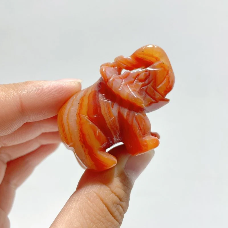 Beautiful Carnelian Elephant Carving Wholesale