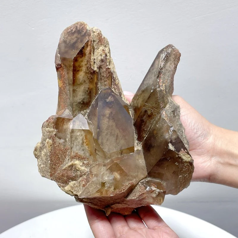 Smoky Quartz Mixed Garden Quartz Specimen #2 - Image 4