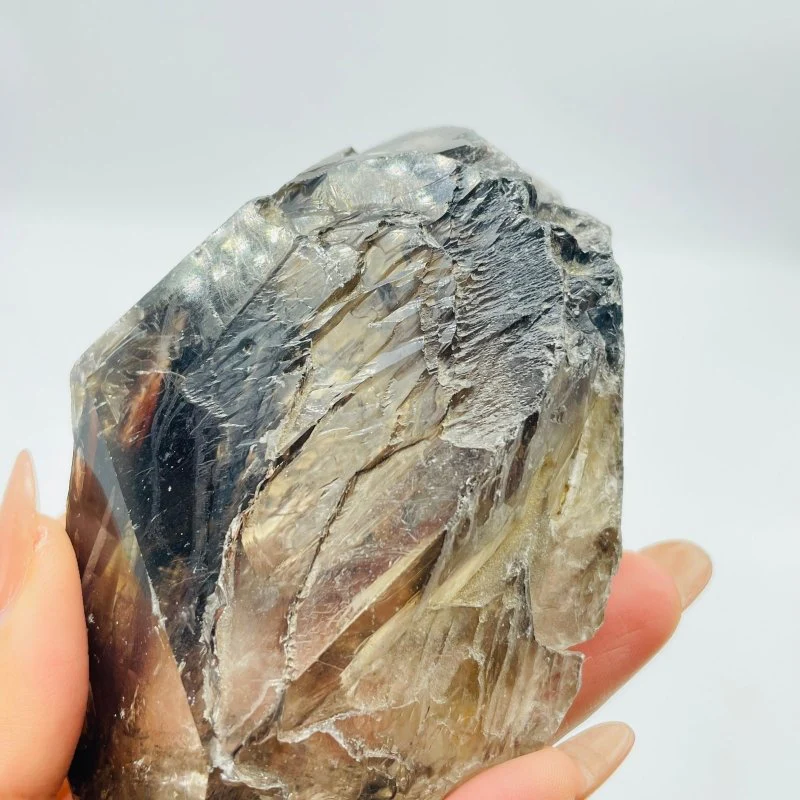 4 Pieces Smoky Quartz Backbone Specimen Crystal Stone - Image 5