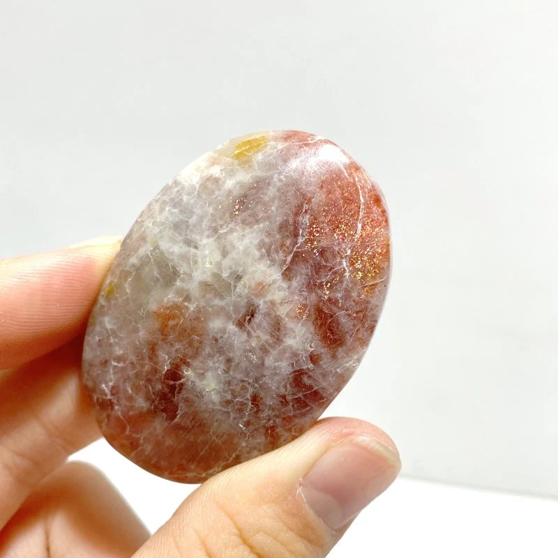 Sunstone Palm Wholesale